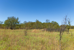 property photo for Gracyn Meadows Tract 1, 5.58 acres for sale in Okfuskee County, Oklahoma