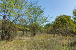 property photo for Gracyn Meadows Tract 1, 5.58 acres for sale in Okfuskee County, Oklahoma