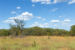 property photo for Gracyn Meadows Tract 10, 4.23 acres for sale in Okfuskee County, Oklahoma