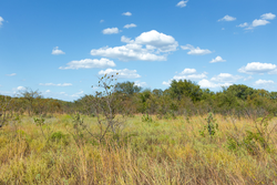 property photo for Gracyn Meadows Tract 10, 4.23 acres for sale in Okfuskee County, Oklahoma
