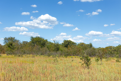 property photo for Gracyn Meadows Tract 10, 4.23 acres for sale in Okfuskee County, Oklahoma