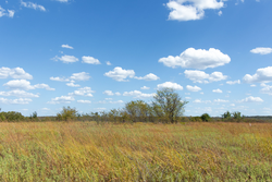 property photo for Gracyn Meadows Tract 11, 3.34 acres for sale in Okfuskee County, Oklahoma