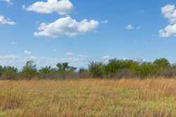 property photo for Gracyn Meadows Tract 11, 3.34 acres for sale in Okfuskee County, Oklahoma