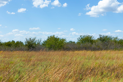 property photo for Gracyn Meadows Tract 11, 3.34 acres for sale in Okfuskee County, Oklahoma