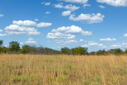 property photo for Gracyn Meadows Tract 11, 3.34 acres for sale in Okfuskee County, Oklahoma