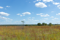 property photo for Gracyn Meadows Tract 11, 3.34 acres for sale in Okfuskee County, Oklahoma
