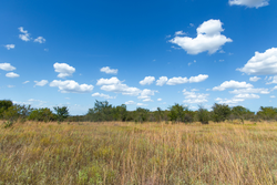 property photo for Gracyn Meadows Tract 12, 3.96 acres for sale in Okfuskee County, Oklahoma