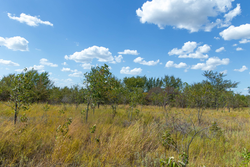property photo for Gracyn Meadows Tract 12, 3.96 acres for sale in Okfuskee County, Oklahoma