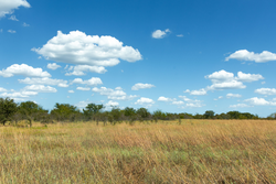 property photo for Gracyn Meadows Tract 12, 3.96 acres for sale in Okfuskee County, Oklahoma