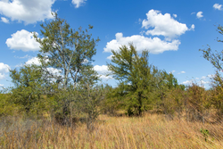 property photo for Gracyn Meadows Tract 13, 4.07 acres for sale in Okfuskee County, Oklahoma