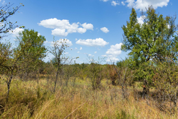 property photo for Gracyn Meadows Tract 13, 4.07 acres for sale in Okfuskee County, Oklahoma