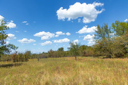 property photo for Gracyn Meadows Tract 13, 4.07 acres for sale in Okfuskee County, Oklahoma