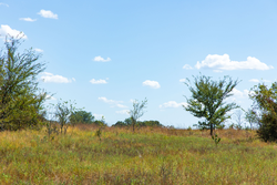property photo for Gracyn Meadows Tract 13, 4.07 acres for sale in Okfuskee County, Oklahoma