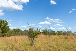 property photo for Gracyn Meadows Tract 13, 4.07 acres for sale in Okfuskee County, Oklahoma