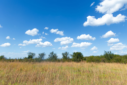 property photo for Gracyn Meadows Tract 13, 4.07 acres for sale in Okfuskee County, Oklahoma
