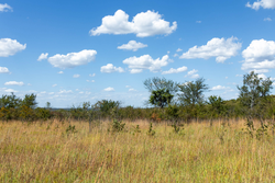 property photo for Gracyn Meadows Tract 13, 4.07 acres for sale in Okfuskee County, Oklahoma