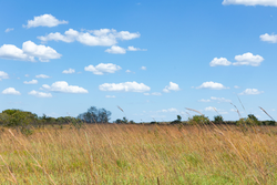 property photo for Gracyn Meadows Tract 13, 4.07 acres for sale in Okfuskee County, Oklahoma