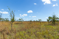 property photo for Gracyn Meadows Tract 13, 4.07 acres for sale in Okfuskee County, Oklahoma