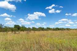 property photo for Gracyn Meadows Tract 13, 4.07 acres for sale in Okfuskee County, Oklahoma