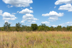 property photo for Gracyn Meadows Tract 13, 4.07 acres for sale in Okfuskee County, Oklahoma