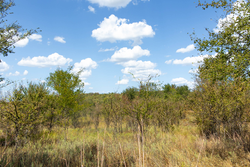 property photo for Gracyn Meadows Tract 14, 4.35 acres for sale in Okfuskee County, Oklahoma