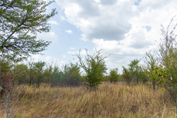 property photo for Gracyn Meadows Tract 14, 4.35 acres for sale in Okfuskee County, Oklahoma