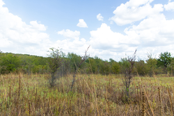property photo for Gracyn Meadows Tract 14, 4.35 acres for sale in Okfuskee County, Oklahoma