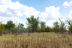 property photo for Gracyn Meadows Tract 14, 4.35 acres for sale in Okfuskee County, Oklahoma
