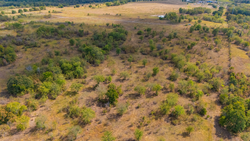 property photo for Gracyn Meadows Tract 14, 4.35 acres for sale in Okfuskee County, Oklahoma