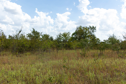 property photo for Gracyn Meadows Tract 14, 4.35 acres for sale in Okfuskee County, Oklahoma