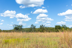 property photo for Gracyn Meadows Tract 14, 4.35 acres for sale in Okfuskee County, Oklahoma