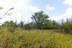 property photo for Gracyn Meadows Tract 15, 4.56 acres for sale in Okfuskee County, Oklahoma