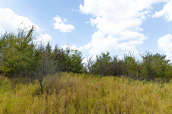 property photo for Gracyn Meadows Tract 15, 4.56 acres for sale in Okfuskee County, Oklahoma