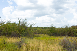 property photo for Gracyn Meadows Tract 15, 4.56 acres for sale in Okfuskee County, Oklahoma