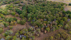 property photo for Gracyn Meadows Tract 15, 4.56 acres for sale in Okfuskee County, Oklahoma