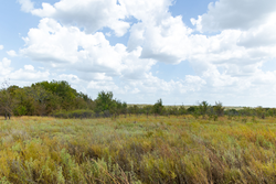 property photo for Gracyn Meadows Tract 15, 4.56 acres for sale in Okfuskee County, Oklahoma
