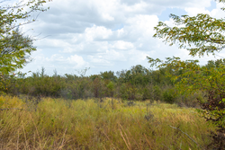 property photo for Gracyn Meadows Tract 15, 4.56 acres for sale in Okfuskee County, Oklahoma