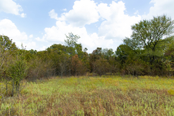 property photo for Gracyn Meadows Tract 15, 4.56 acres for sale in Okfuskee County, Oklahoma