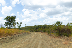 property photo for Gracyn Meadows Tract 15, 4.56 acres for sale in Okfuskee County, Oklahoma