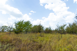 property photo for Gracyn Meadows Tract 15, 4.56 acres for sale in Okfuskee County, Oklahoma