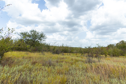 property photo for Gracyn Meadows Tract 15, 4.56 acres for sale in Okfuskee County, Oklahoma