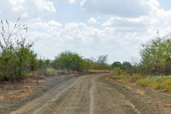 property photo for Gracyn Meadows Tract 16, 4.86 acres for sale in Okfuskee County, Oklahoma