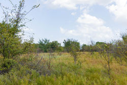 property photo for Gracyn Meadows Tract 16, 4.86 acres for sale in Okfuskee County, Oklahoma