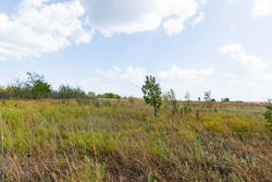 property photo for Gracyn Meadows Tract 16, 4.86 acres for sale in Okfuskee County, Oklahoma