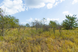 property photo for Gracyn Meadows Tract 16, 4.86 acres for sale in Okfuskee County, Oklahoma