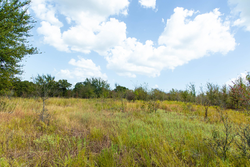 property photo for Gracyn Meadows Tract 16, 4.86 acres for sale in Okfuskee County, Oklahoma