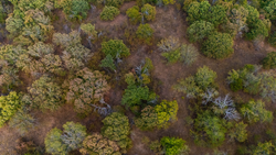 property photo for Gracyn Meadows Tract 16, 4.86 acres for sale in Okfuskee County, Oklahoma