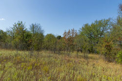 property photo for Gracyn Meadows Tract 16, 4.86 acres for sale in Okfuskee County, Oklahoma