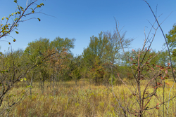 property photo for Gracyn Meadows Tract 16, 4.86 acres for sale in Okfuskee County, Oklahoma