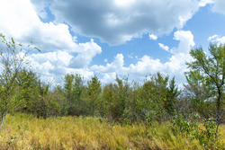 property photo for Gracyn Meadows Tract 17, 5.06 acres for sale in Okfuskee County, Oklahoma
